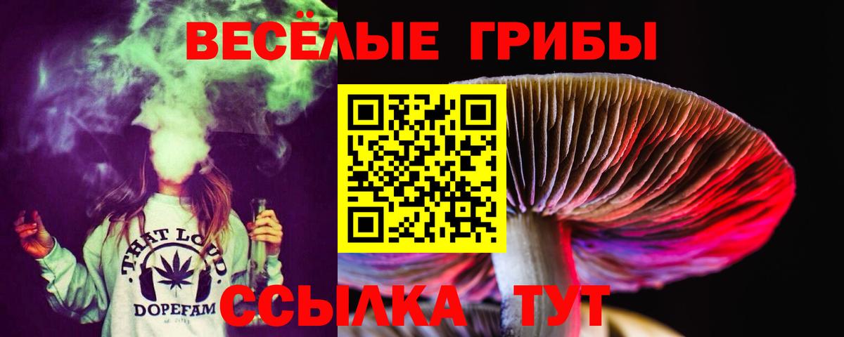 Псилоцибиновые грибы прущие грибы  Вход с VPN  Псилоцибиновые грибы мухоморы  Гусиноозёрск 