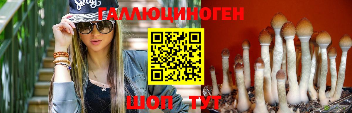 Псилоцибиновые грибы Magic Shrooms Гусиноозёрск